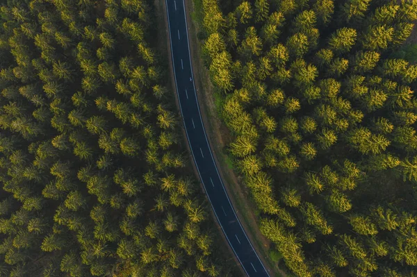 Flygfoto Över Bergsvägen Som Går Genom Skogen — Stockfoto