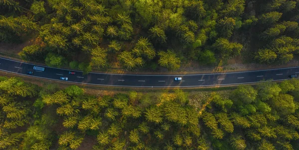 在乡下公路上驾车穿越森林的汽车的鸟瞰图 — 图库照片