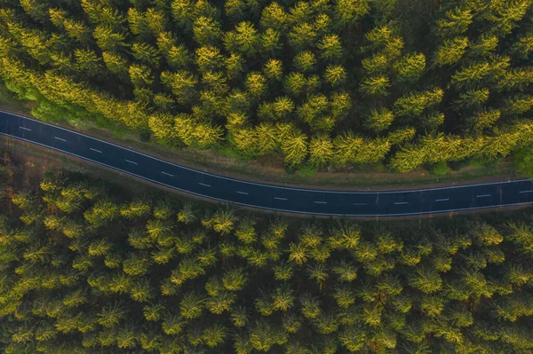 Curved aerial road from a drone