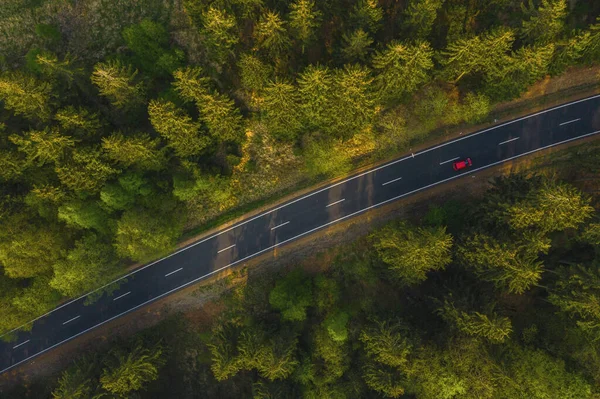 Skogsväg Med Röd Bil — Stockfoto