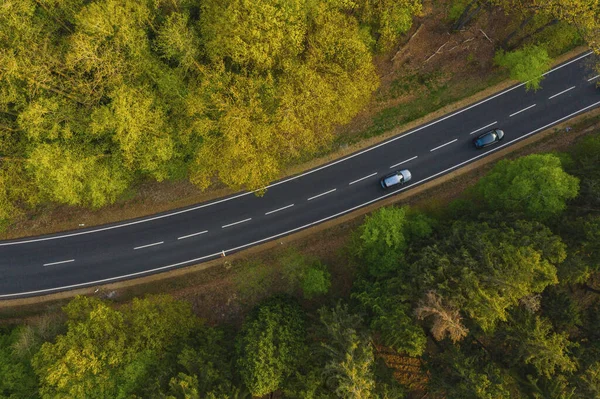 在背景夏季森林的郊区公路上开车的无人机图像 — 图库照片