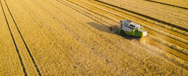 Harvester Wheat Field Top View Drone Shot — Stock Photo, Image