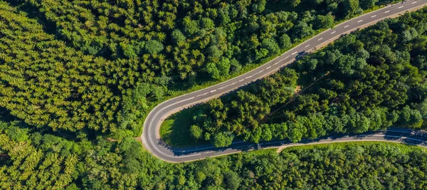 空中尽收眼底 山弯路有车 绿色森林在欧洲的春天 有柏油路和树木的风景 穿过公园的高速公路从无人驾驶飞机上俯瞰 — 图库照片