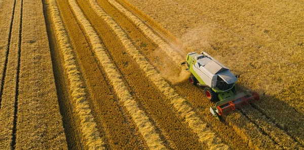 Combine Harvesting Corn Aerial Drone Shot — Stock Photo, Image