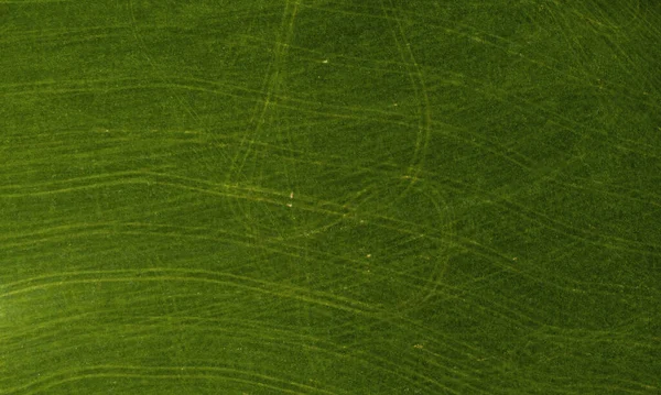 田野里的绿色草地 头顶上有一架无人驾驶飞机 草地绿色背景的结构 — 图库照片
