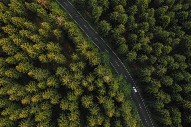 Kırsal yolda, ormandan geçen arabanın hava görüntüsü..