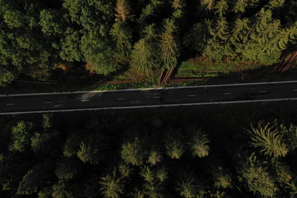 森林中的乡间道路 空中俯瞰无人驾驶飞机射击 — 图库照片