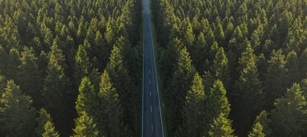 緑の森を抜ける田舎道の上からの空中風景 — ストック写真