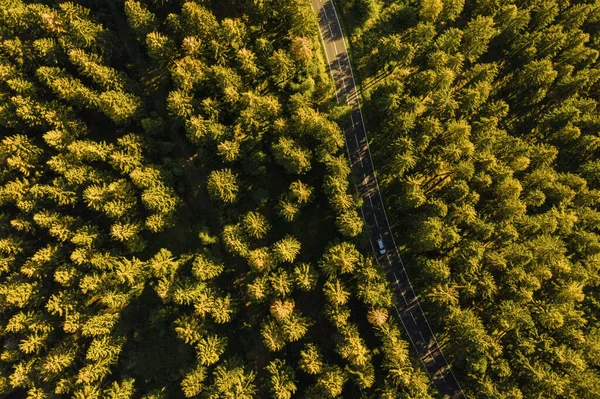 在乡间路上开车穿过森林的空中景观 — 图库照片