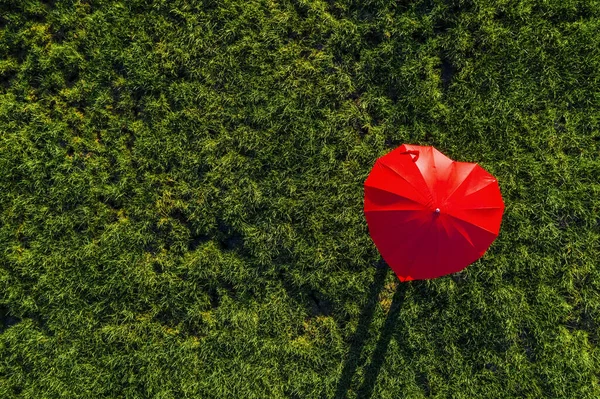 Καρδιά Σχήμα Κόκκινη Ομπρέλα Ένα Πράσινο Λιβάδι Καλοκαίρι Θέα Από — Φωτογραφία Αρχείου