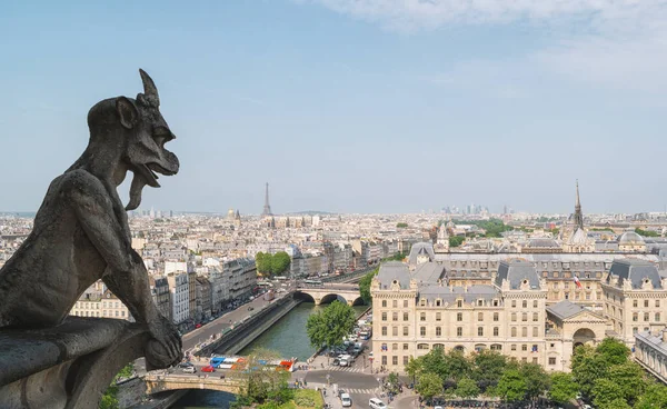 Párizsi Notre Dame Katedrális Kimérája Vízköpő Kilátással Párizsra — Stock Fotó