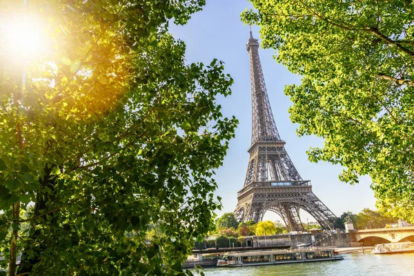 Torre Eiffel París Verano —  Fotos de Stock