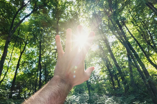Αρσενικό Χέρι Ενάντια Στο Δάσος Περνούν Ακτίνες Του Ήλιου — Φωτογραφία Αρχείου