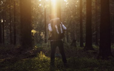 Ormanda durup ağaçların üzerinden gün batımını izleyen bir yürüyüşçü.