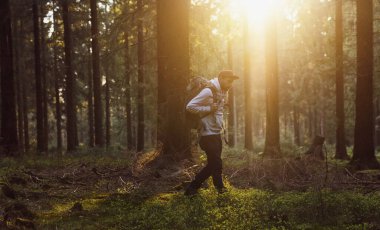 Güneşli bir günde ormanda yürüyüş yapan genç yürüyüşçü.