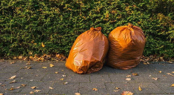 Sacos Lixo Biodegradáveis Para Coletar Folhas Outono Caídas Rua — Fotografia de Stock