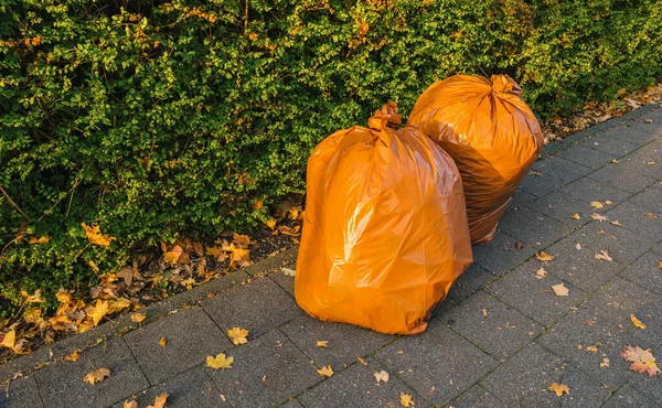 수있는 낙엽을 길에서 수있는 쓰레기 주머니 — 스톡 사진