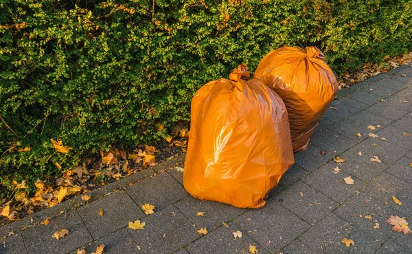 Biológiailag Lebomló Szemeteszsákok Elhullott Őszi Levelek Összegyűjtésére Utcán — Stock Fotó