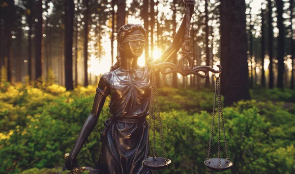 Lady Justice Statue Woods — Stock Photo, Image