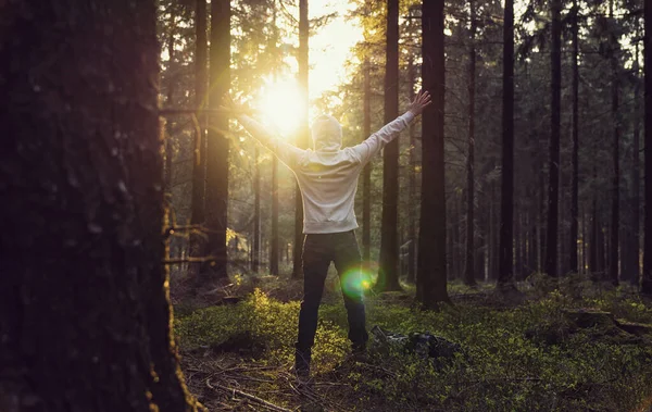 Man Biddend Bij Zonsondergang Het Diepe Bos Opgeheven Handen — Stockfoto