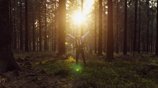 Happy hiker with raised hands in air stand in a pine forest at sunset