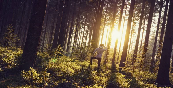 Jongeman Kijkt Het Diepe Bos Geniet Van Natuur Zonsondergang Licht — Stockfoto