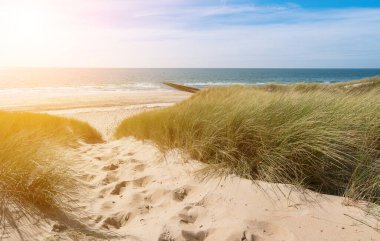 Renesse, Domburg, Zeeland, Hollanda 'daki kum tepelerinden okyanusa manzara