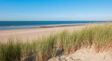 Hollanda, Renesse 'de hendek, kum ve çimlerle kıyı şeridi