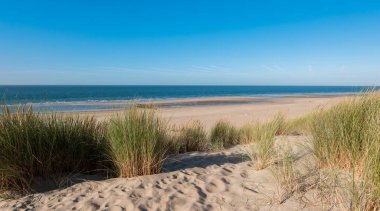 Renesse, Hollanda 'da okyanus manzaralı kum tepeleri