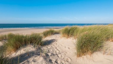 boş beach kumulları dalgalar ve deniz