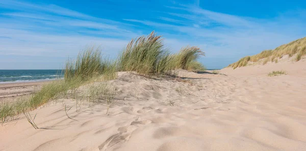 Dunas Areia Costa Mar Norte Holanda — Fotografia de Stock