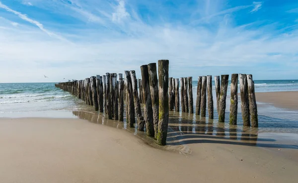 Starý Vlnolamy Pláži — Stock fotografie