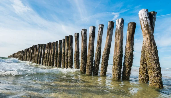 Staré Dřevěné Vlnolamy Pláži — Stock fotografie