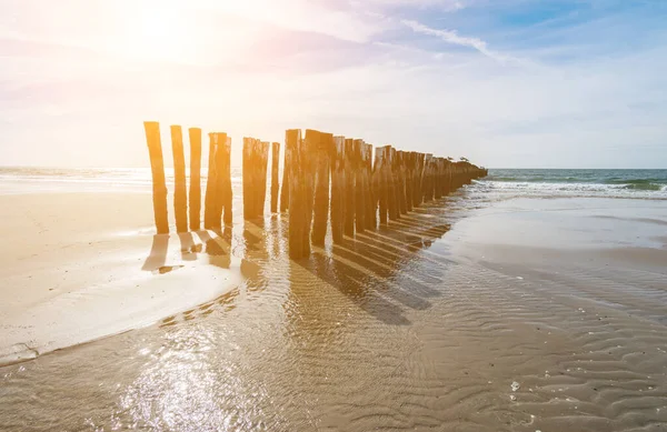 Vlnolamy Pláži Domburgu Nizozemsko — Stock fotografie
