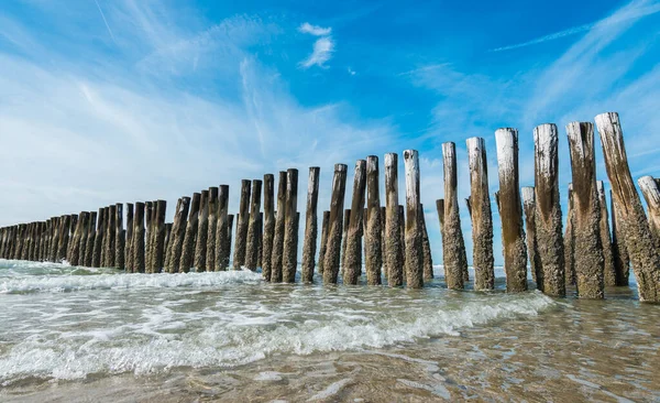 Dřevěné Vlnolamy Pláži Domburgu Nizozemsko — Stock fotografie