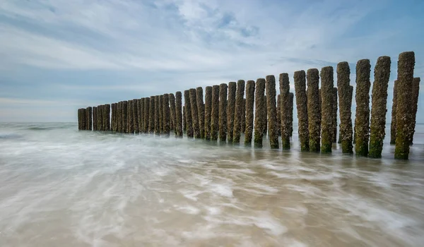 Paisagem Praia Com Quebra Ondas Holanda — Fotografia de Stock