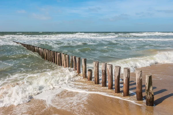 Drewniane Pali Plaży Domburg Holandia — Zdjęcie stockowe