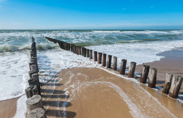 Groynes Pláži Severního Moře Domburgu Zeelandu Holandsku — Stock fotografie