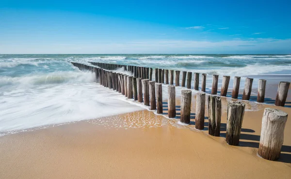 Vlnolamy Písečné Pláži Zeeland Nizozemsko — Stock fotografie
