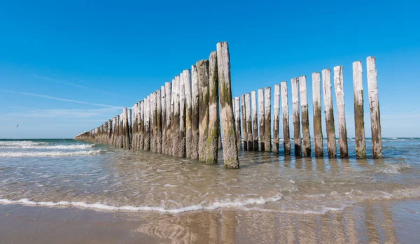Stare Drewniane Falochronów Holenderskiej Plaży Lecie — Zdjęcie stockowe