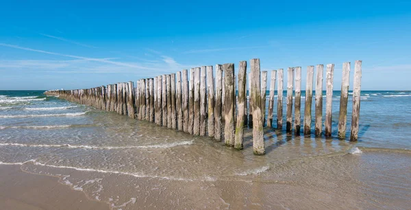 Dřevěné Vlnolamy Pláži — Stock fotografie