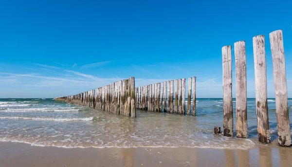 Wooden Groyne Pláži Nizozemsku — Stock fotografie