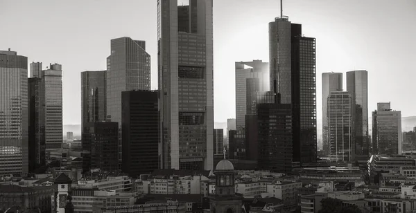 Frankfurt Main Skyline Monochrom Color — стокове фото