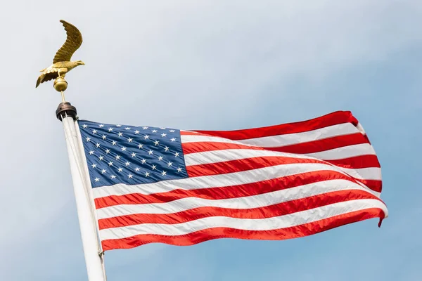 Amerikaanse Vlag Met Bald Eagle Symbool Van Amerika Tegen Blauwe — Stockfoto