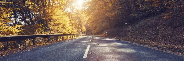 Autumn Scene Road Forest Bright Sunlight — Stock Photo, Image