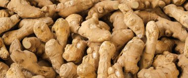 Süpermarkette Ginger Yığını