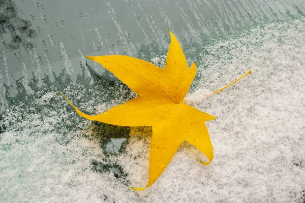 Car Windshield Snow Covered Autumn Maple Leaf — Stock Photo, Image