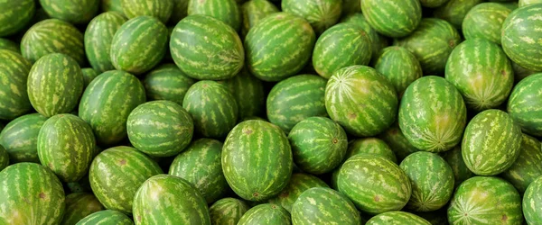 Viele Wassermelonen Auf Dem Obstmarkt — Stockfoto