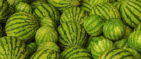 Stapel Grote Zoete Groene Watermeloenen — Stockfoto