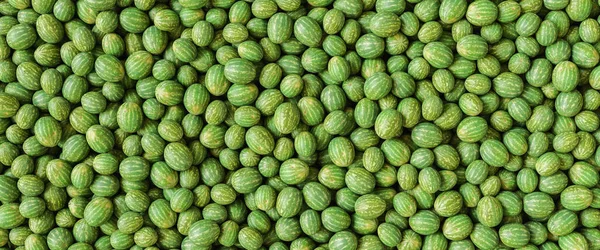 Mnoho Velkých Sladkých Zelených Melounů Jeden Řez Pohled Shora Velikost — Stock fotografie